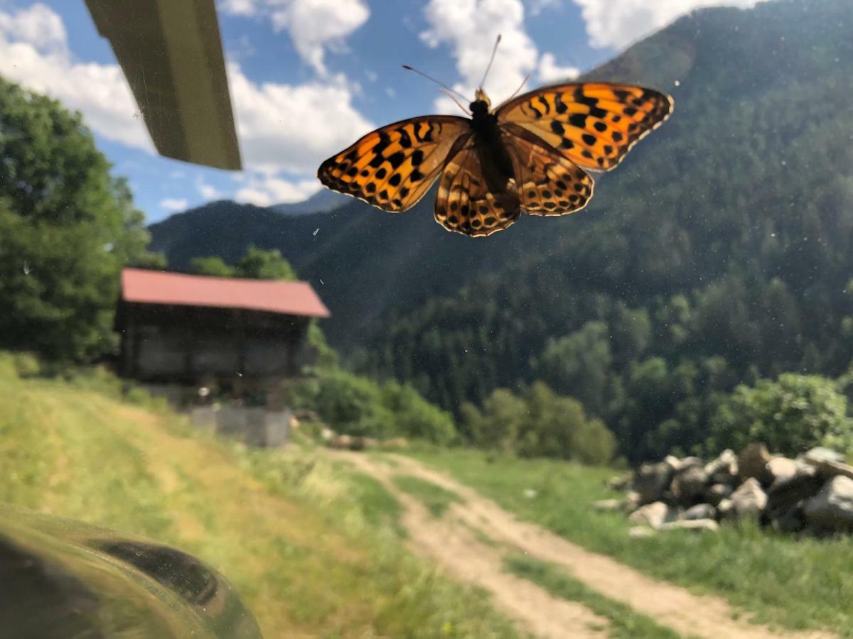 Chalet Le Verger Agettes Dış mekan fotoğraf